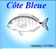 Cote Bleue