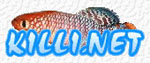 International Killifish Association