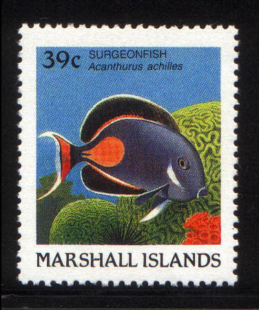 Acanthurus achilles