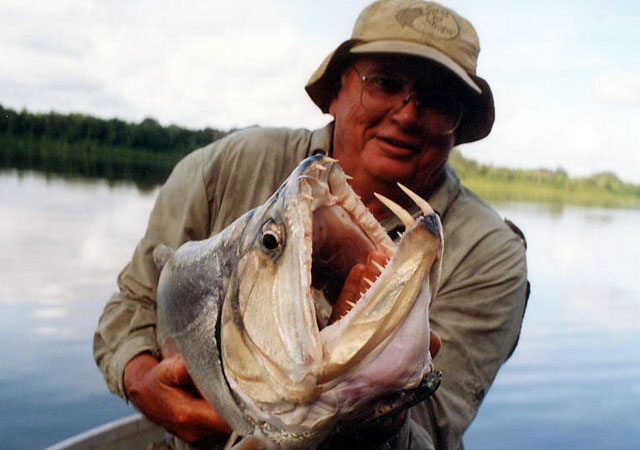Hydrolycus armatus