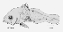 tn_Sespp_l0.gif