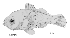 tn_Sespp_l1.gif
