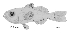 tn_Sespp_l3.gif