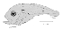 tn_Stspp_l2.gif
