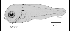 tn_Stspp_l4.gif
