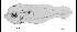 tn_Stspp_l6.gif