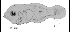 tn_Stspp_l7.gif