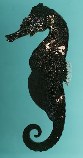 tn_Hispp_u7.jpg