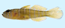 tn_Prpal_m0.jpg