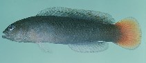 tn_Psspp2u9.jpg