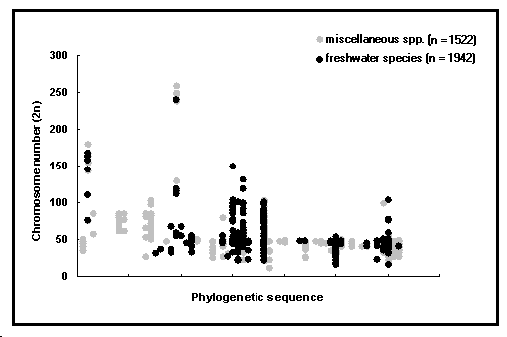 gene2.gif