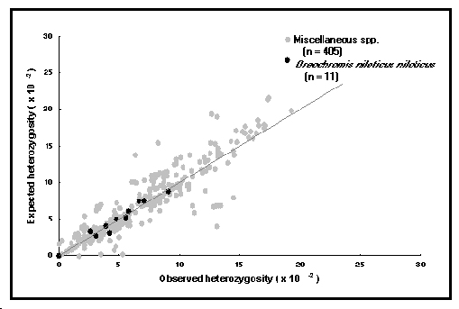 gene5.gif